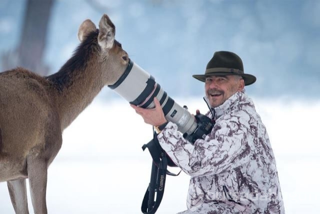 Doğadaki hayvanların fotoğraf merakı