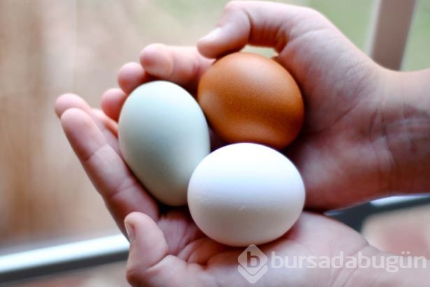 Yumurta, süt ve peynir alırken bunlara dikkat edin!