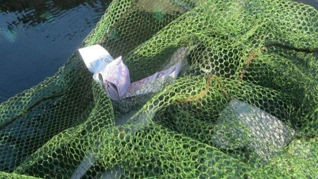 Tuna Nehri'nde 100 bin euro buldu