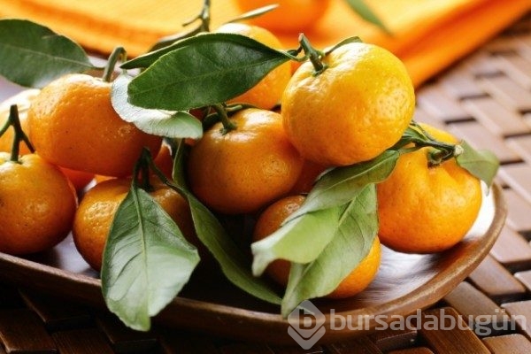 Gribe karşı doğal koruyucu kalkan