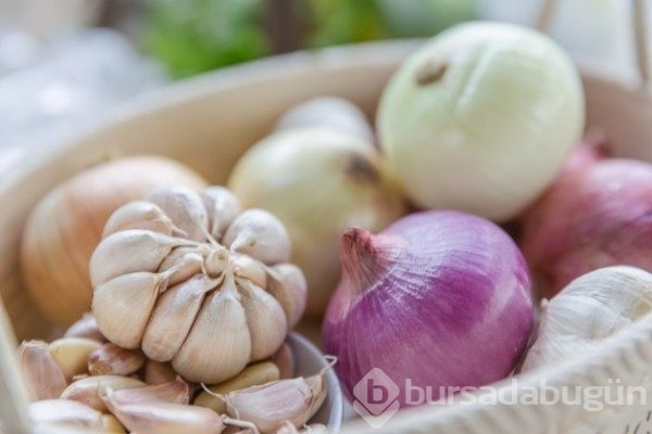 Gribe karşı doğal koruyucu kalkan