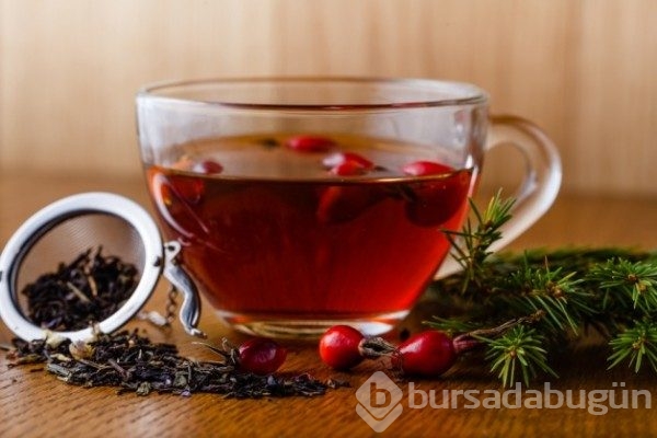 Gribe karşı doğal koruyucu kalkan