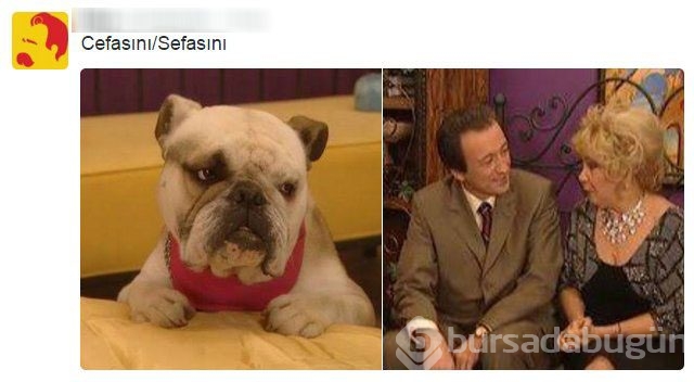 Sosyal medyada cefasını / sefasını dönemi
