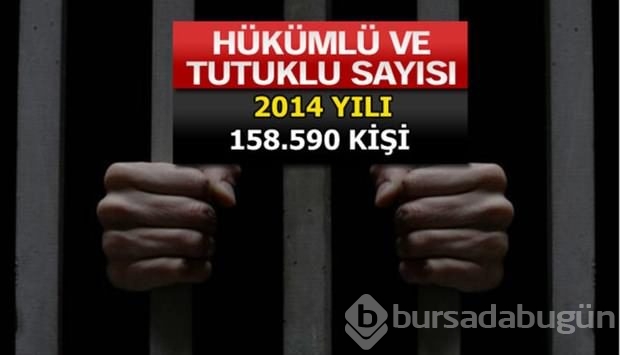 Türkiye'de en çok işlenen suçlar