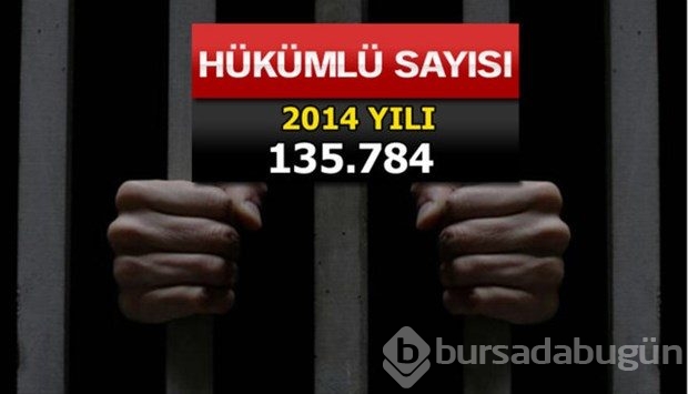 Türkiye'de en çok işlenen suçlar