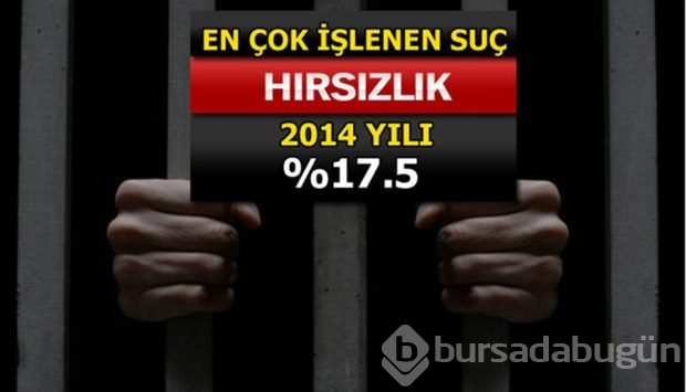 Türkiye'de en çok işlenen suçlar