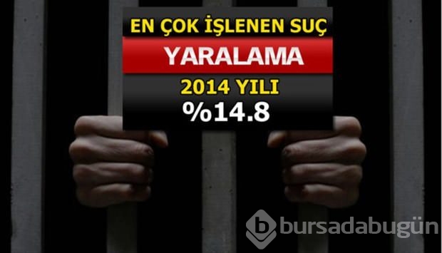 Türkiye'de en çok işlenen suçlar