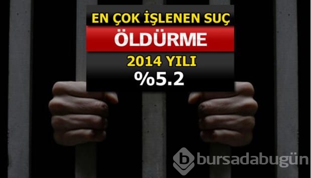 Türkiye'de en çok işlenen suçlar