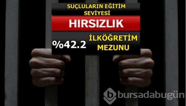 Türkiye'de en çok işlenen suçlar