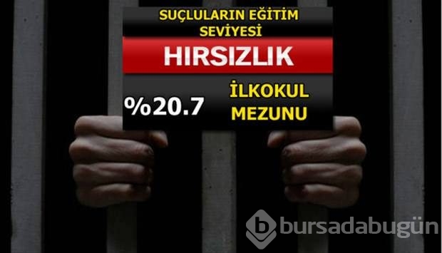 Türkiye'de en çok işlenen suçlar