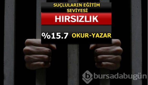 Türkiye'de en çok işlenen suçlar