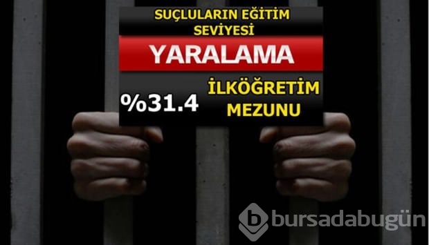 Türkiye'de en çok işlenen suçlar