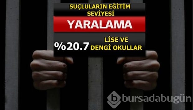 Türkiye'de en çok işlenen suçlar