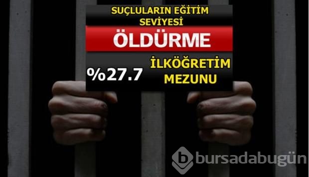 Türkiye'de en çok işlenen suçlar