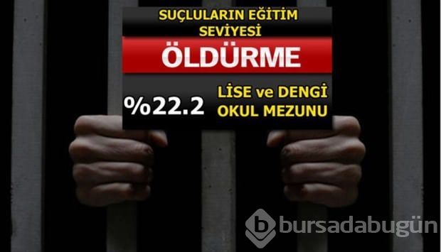 Türkiye'de en çok işlenen suçlar