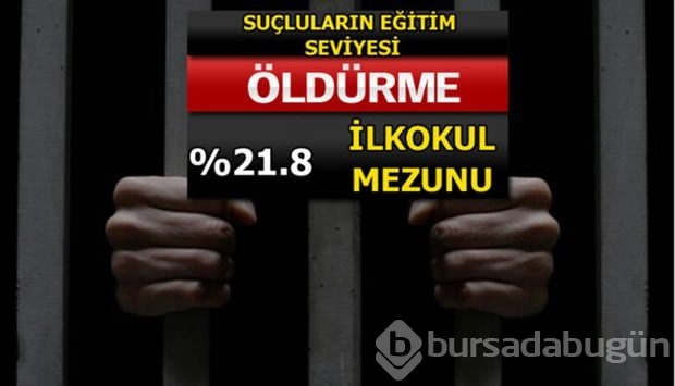 Türkiye'de en çok işlenen suçlar