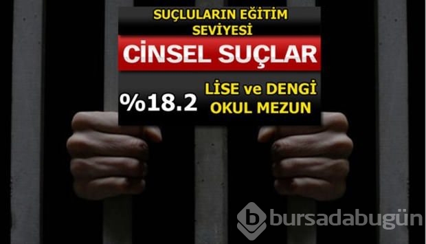 Türkiye'de en çok işlenen suçlar