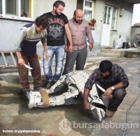 Star Wars'un gücünün Türklerden geldiğinin...