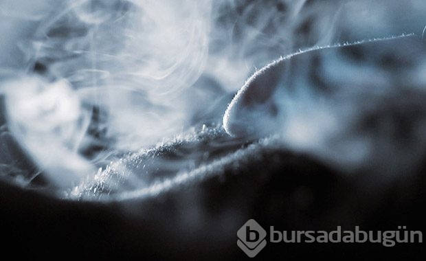 Tekrar diriltecekler.. Aralarında 1 Türk de var!