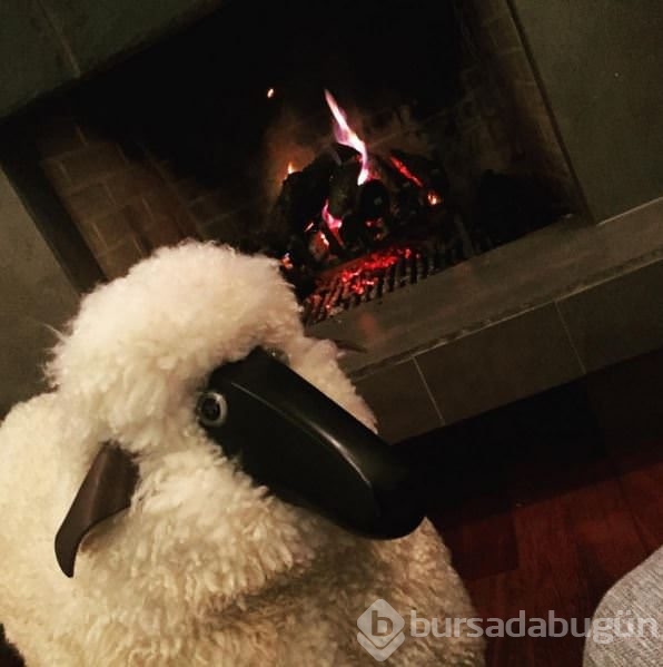 İnstagram'da ünlüler 10 Aralık 2015	