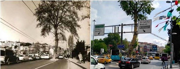 İstanbul'un dönüşümü	
