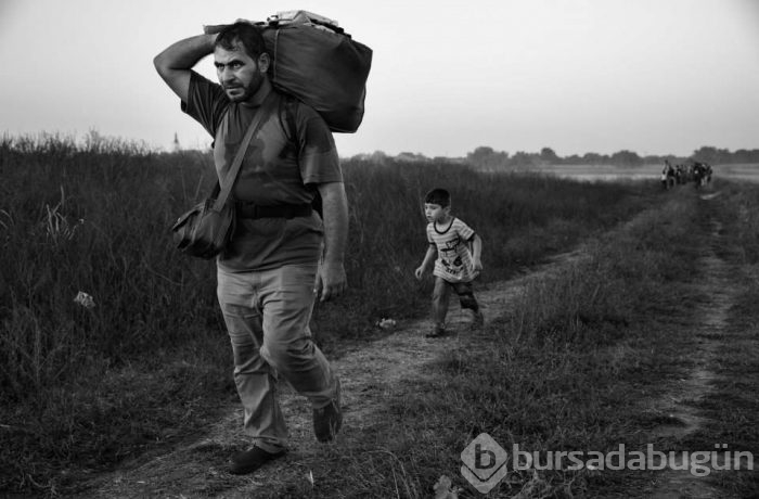 2015'in en etkili fotoğrafları	
