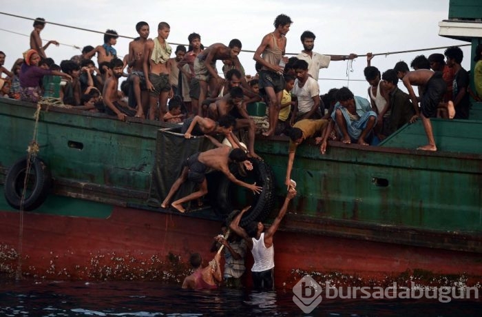 2015'in en etkili fotoğrafları	