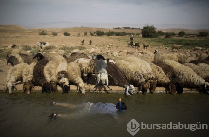 2015'in en etkili fotoğrafları	