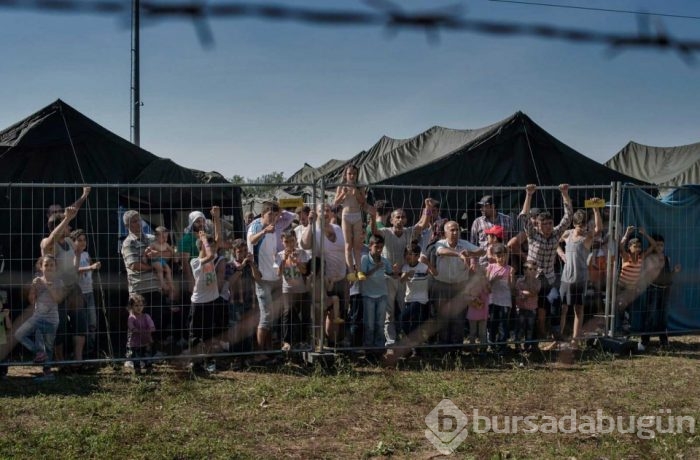 2015'in en etkili fotoğrafları	