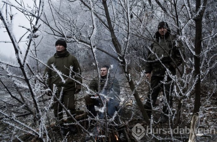 2015'in en etkili fotoğrafları	