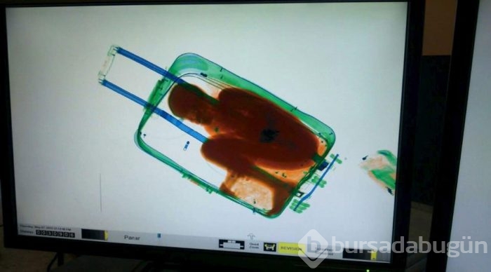 2015'in en etkili fotoğrafları	