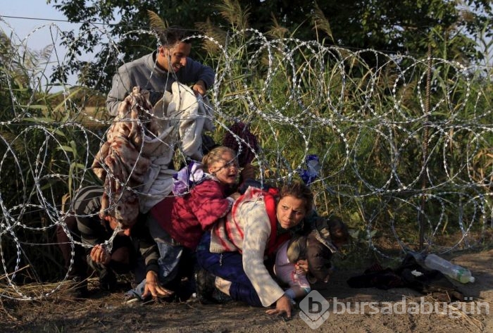 2015'in en etkili fotoğrafları	