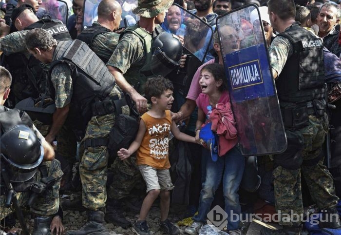 2015'in en etkili fotoğrafları	