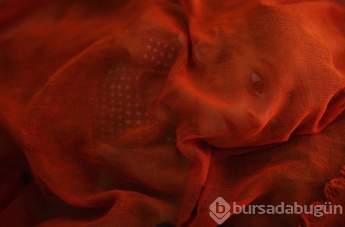 2015'in en etkili fotoğrafları	
