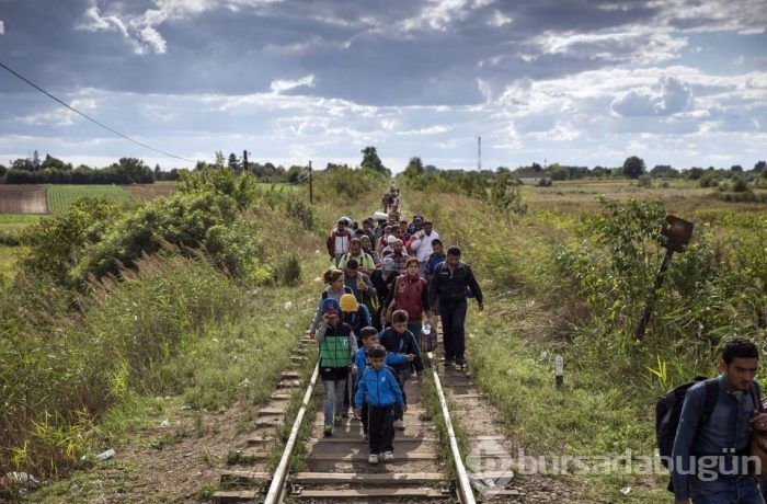 2015'in en etkili fotoğrafları	