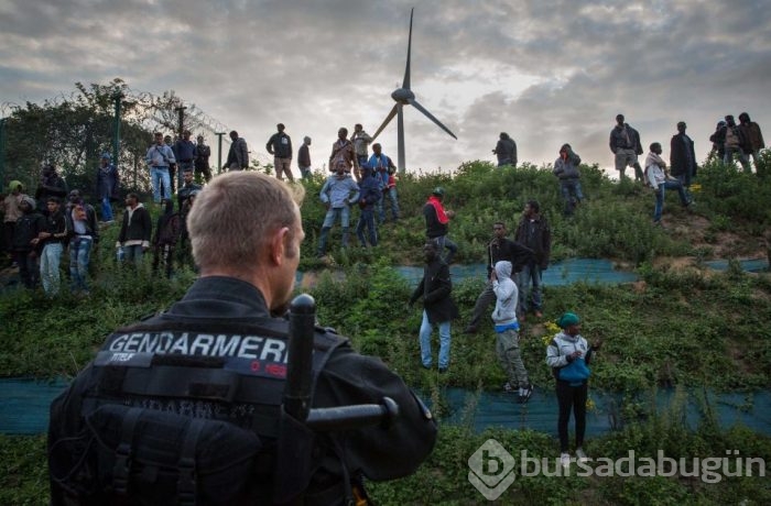 2015'in en etkili fotoğrafları	