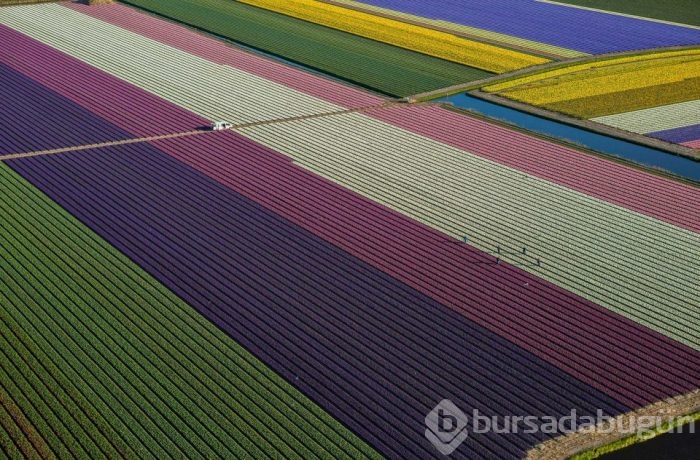 2015'in en etkili fotoğrafları	