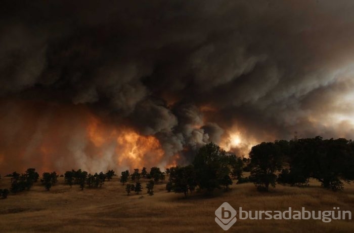 2015'in en etkili fotoğrafları	