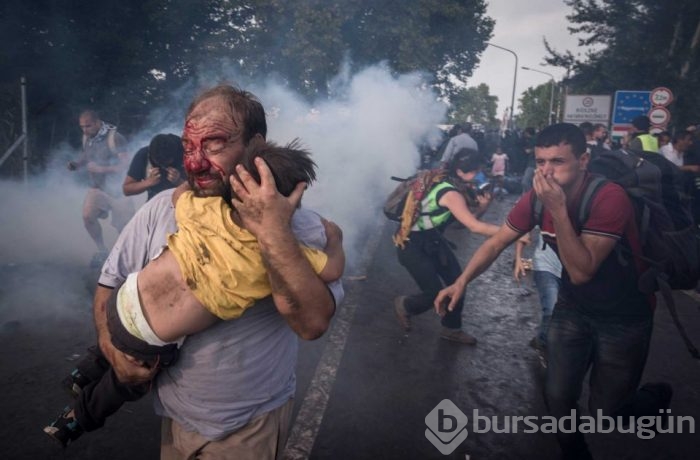 2015'in en etkili fotoğrafları	