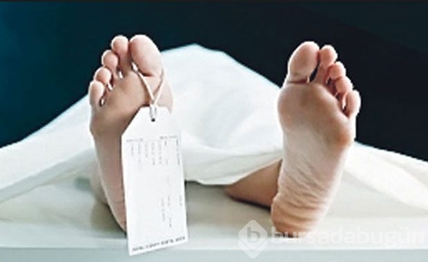 Erkeklerin boyu ve penis arasındaki ilişki...