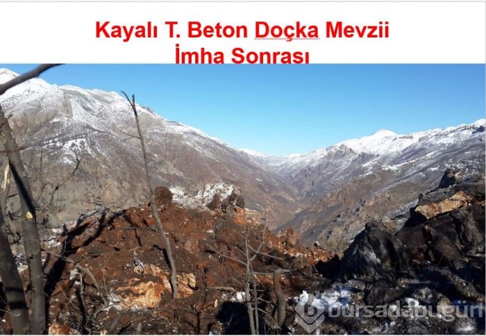 İşte PKK sığınağından çıkanlar	