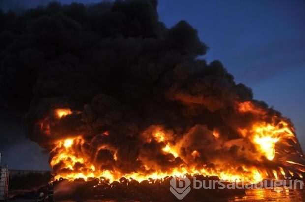 İşte 2015'in en iyi fotoğrafları	