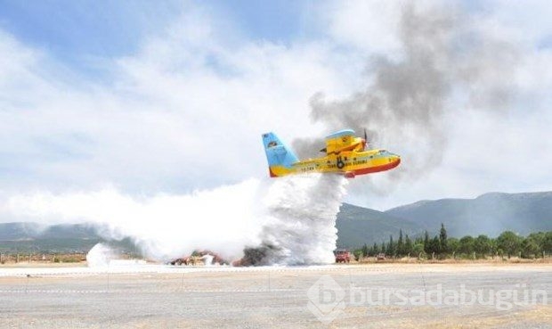 İşte 2015'in en iyi fotoğrafları	