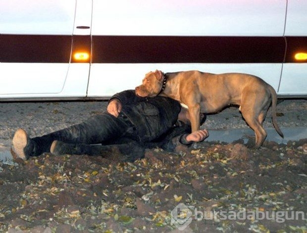 İşte 2015'in en iyi fotoğrafları	