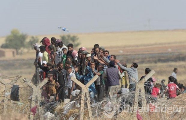 İşte 2015'in en iyi fotoğrafları	