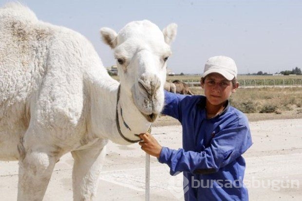 İşte 2015'in en iyi fotoğrafları	