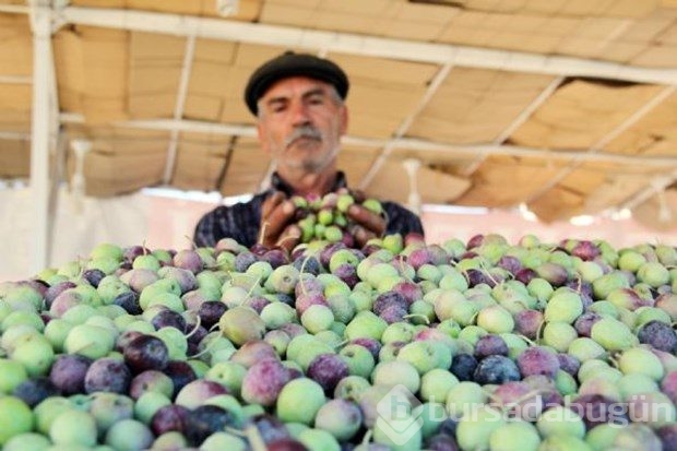 İşte 2015'in en iyi fotoğrafları	