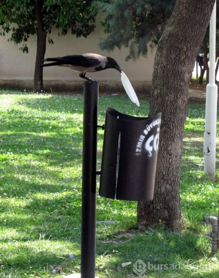 İşte 2015'in en iyi fotoğrafları	