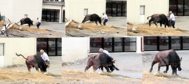 İşte 2015'in en iyi fotoğrafları	