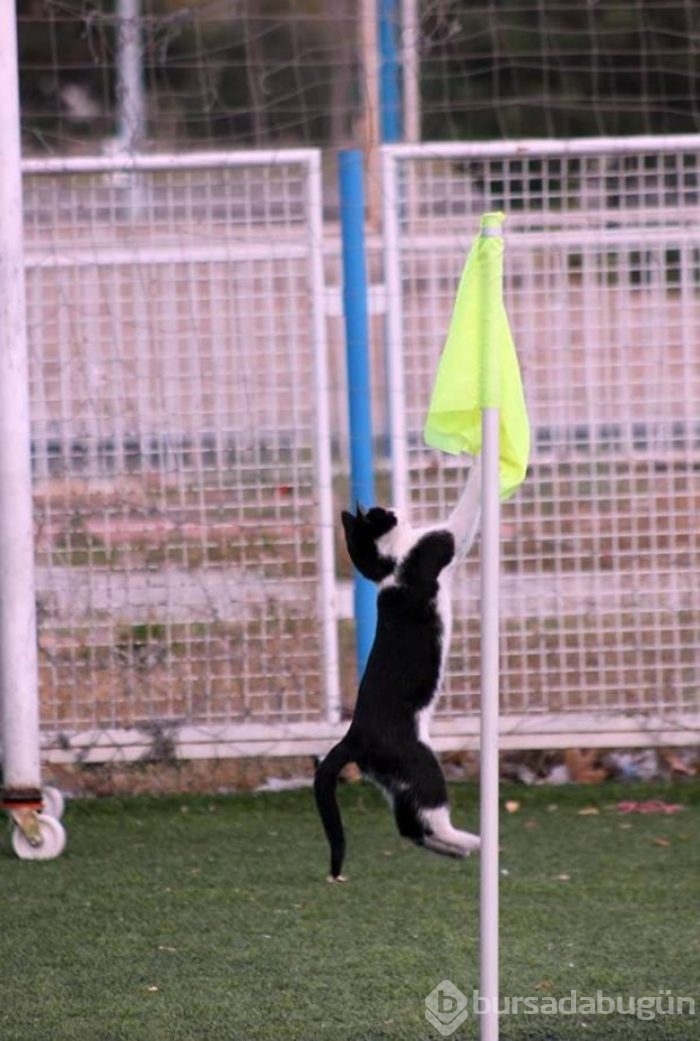 İşte 2015'in en iyi fotoğrafları	